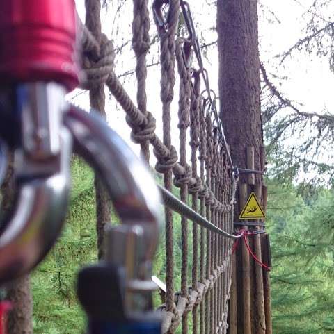 Go Ape Dalby Forest